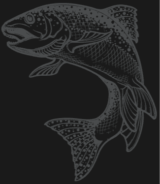 background-picture